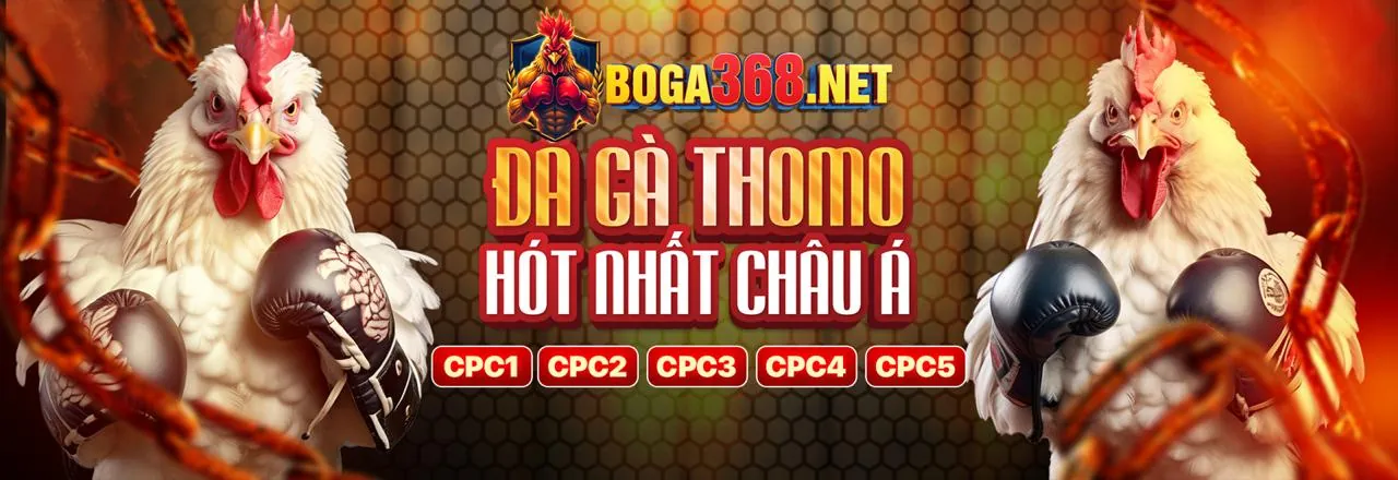 Hỗ trợ khách hàng vf55